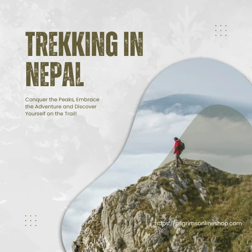 trekking-in-nepal-himalayan-adventure-guide
