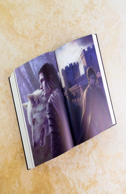A Clash of Kings Book 2 Illustrated edition